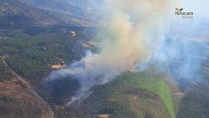 Controlado el fuego declarado este lunes en Salobre