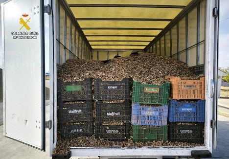 Detenidos dos vecinos de Albacete por el robo de 5.400 kilos de almendra en una parcela de Barrax