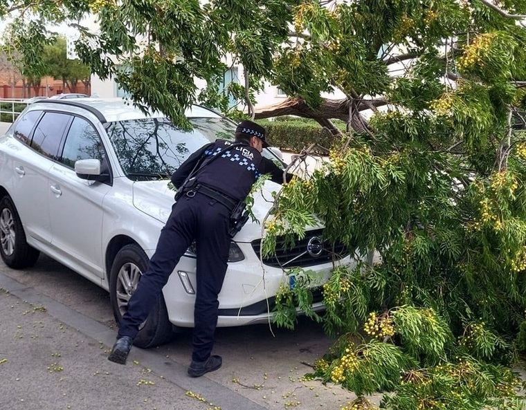 La Policía Local de Albacete realizó 168 actuaciones por las borrascas 'Ciarán' y 'Domingos', que no dejaron daños materiales