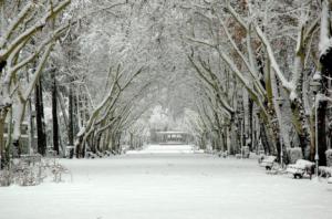 El frío y la nieve pondrán este jueves en aviso a toda Castilla-La Mancha