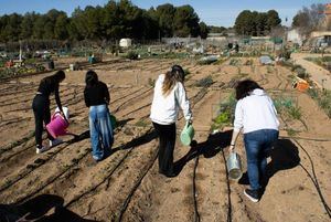 Unidad de Trastornos de Conducta Alimentaria de GAI de Albacete implanta un programa centrado en un huerto terapéutico