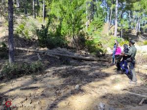 El Gobierno regional trabaja en la recuperación de los accesos al nacimiento del río Mundo tras el excepcional episodio de lluvias registrado este invierno
