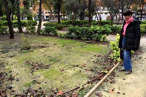 El Grupo Municipal Socialista afirma que “el desastre en las zonas verdes costará este año 850.000 euros más a los vecinos gracias a un alcalde ineficaz y derrochador”