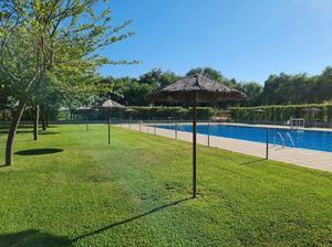 El Ayuntamiento va a contratar los servicios de restauración, socorrismo y limpieza en varias piscinas municipales