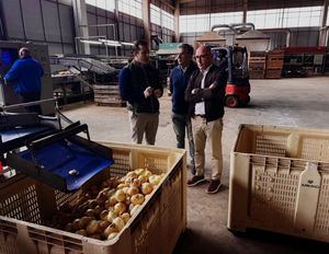 Las ayudas regionales FOCAL para incrementar el valor añadido de las industrias agroalimentarias llegan a la empresa de cebollas ‘Hermanos Aparici Rosa’