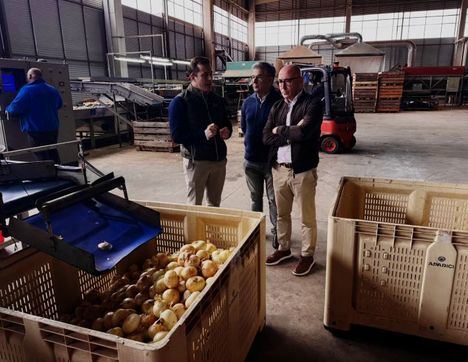 Las ayudas regionales FOCAL para incrementar el valor añadido de las industrias agroalimentarias llegan a la empresa de cebollas ‘Hermanos Aparici Rosa’