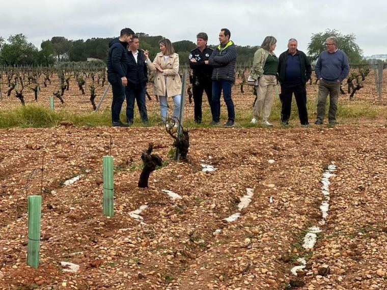 Cabañero visita Madrigueras y Tarazona de la Mancha para conocer los daños causados por la fuerte tormenta de granizo y ofrecer el apoyo de la Diputación
 