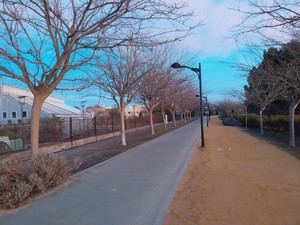 Robo de cable en La Pulgosa interrumpe servicios municipales en Albacete