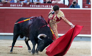 Emoción, bravura y toreo en una corrida concurso llena de alicientes para cerrar la Feria de Albacete